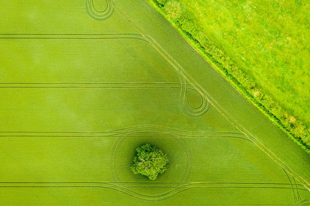 File photo of equipment tracks over a field in England. (Georgeclerk/E+/Getty Images)
