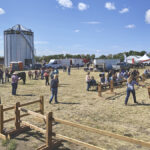 Exhibitors display their cattle during the beef show at Langham, Sask.