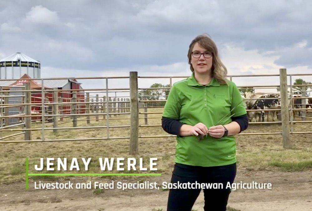 VIDEO: Collecting feed samples for testing