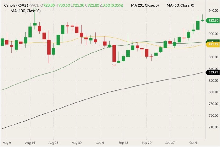ICE November 2021 canola (candlesticks) with 20-, 50- and 100-day moving averages (yellow, dark green and black lines). (Barchart)
