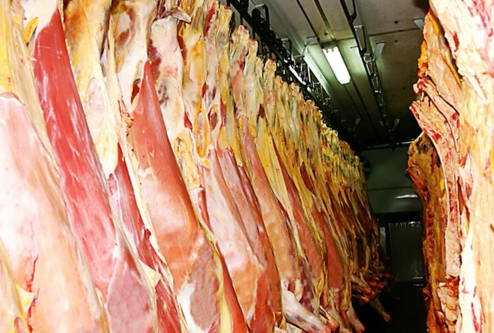 China is reshaping the global cow herd with aggressive buying.