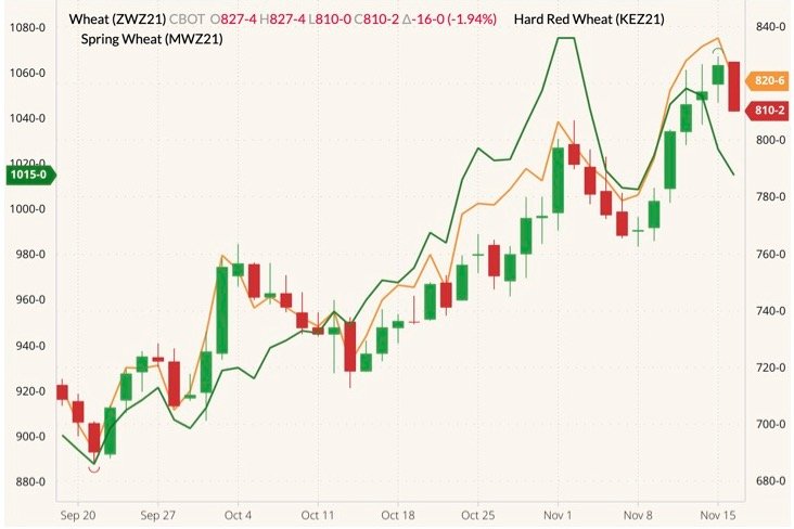 CBOT December 2021 wheat (candlesticks) with K.C. December 2021 wheat (orange line) and MGEX December 2021 wheat (green line, left column). (Barchart)
