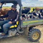 Rancher Justin Hozack uses multiple dogs at a time to help him with daily work near Marwayne, Alta.