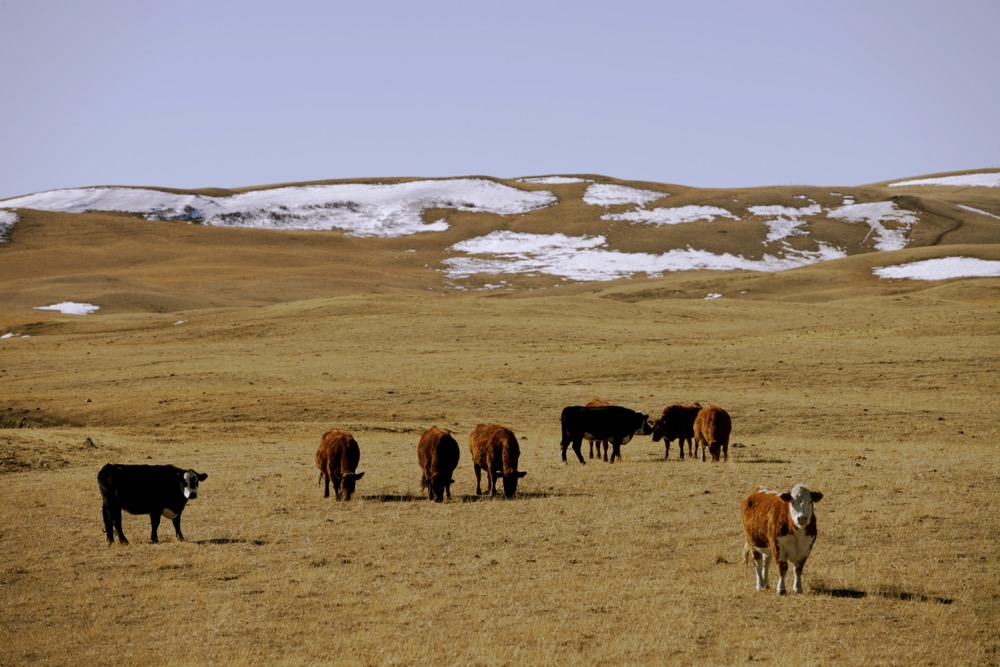 Although farming and nature-based solutions are seen as 30 per cent of the climate change solution, only an estimated three to seven per cent of financing is directed to that sector.