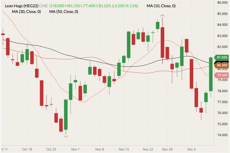 CME February 2022 lean hogs (candlesticks) with 10-, 30- and 50-day moving averages (pink, brown and black lines). (Barchart)

