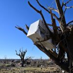 A refrigerator is stuck in a tree at Dawson Springs, Kentucky, about 140 km west of Bowling Green, on Dec. 13, 2021. (Photo: Reuters/Jon Cherry)