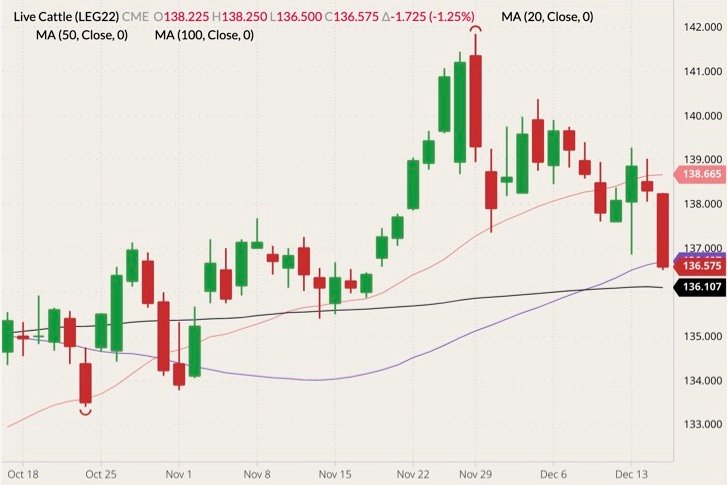CME February 2022 live cattle (candlesticks) with 20-, 50- and 100-day moving averages (pink, purple and black lines). (Barchart)
