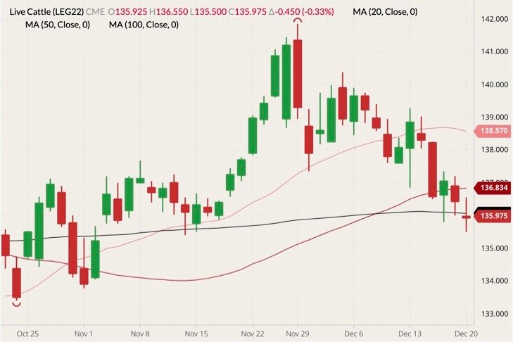 CME February 2022 live cattle (candlesticks) with 20-, 50- and 100-day moving averages (pink, dark red and black lines). (Barchart)
