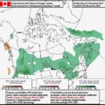 Environment Canada’s forecast probabilities of precipitation for the January-through-March period. (Weather.gc.ca)