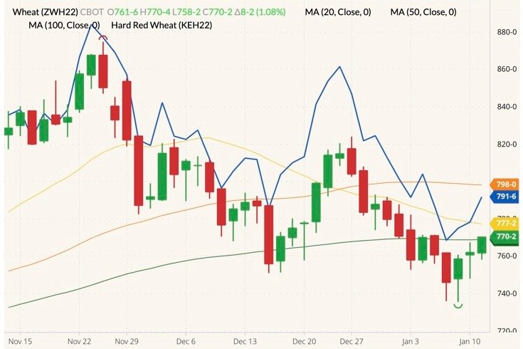 CBOT March 2022 wheat (candlesticks) with 20-, 50- and 100-day moving averages (yellow, orange and dark green lines) and K.C. March 2022 wheat (blue line). (Barchart)
