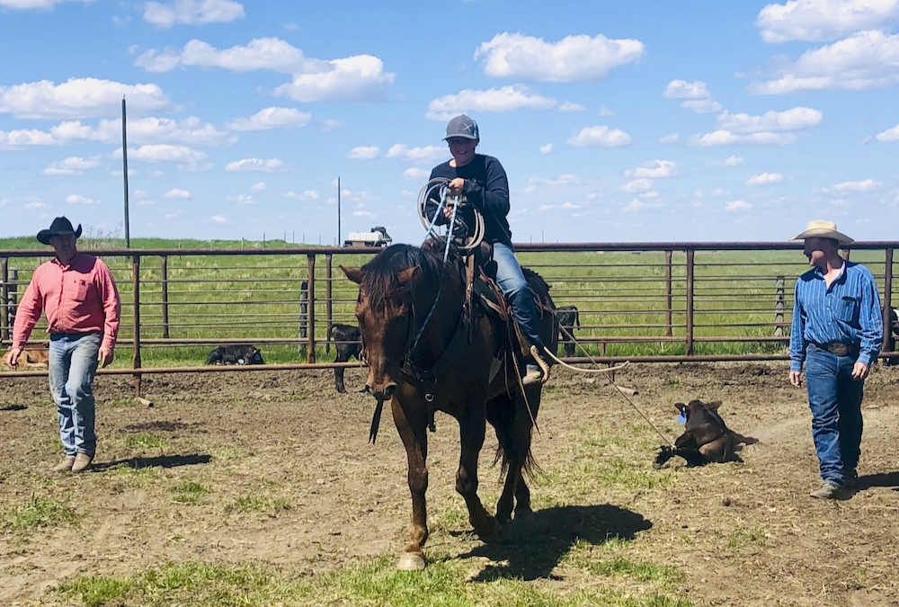 Lyle and Lee Miller watch as Logan pulls a calf towards the branding crew.
