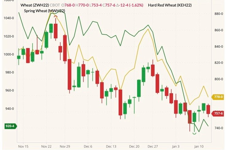 CBOT March 2022 wheat (candlesticks) with K.C. March 2022 wheat (yellow line) and MGEX March 2022 wheat (green line, left column). (Barchart)
