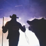 Lee Wilson and DMM Maximus 18G, two-year-old Black Angus bull, owned by Miller Wilson Angus and Little Willow Creek of Bashaw, Alta. DMM Maximus was Supreme Champion Bull at 2021 Farmfair International.