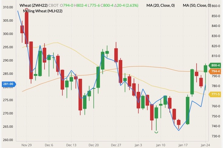 CBOT March 2022 wheat (candlesticks) with 20- and 50-day moving averages (yellow and orange lines) and Euronext March 2022 milling wheat (blue line, left column). (Barchart)
