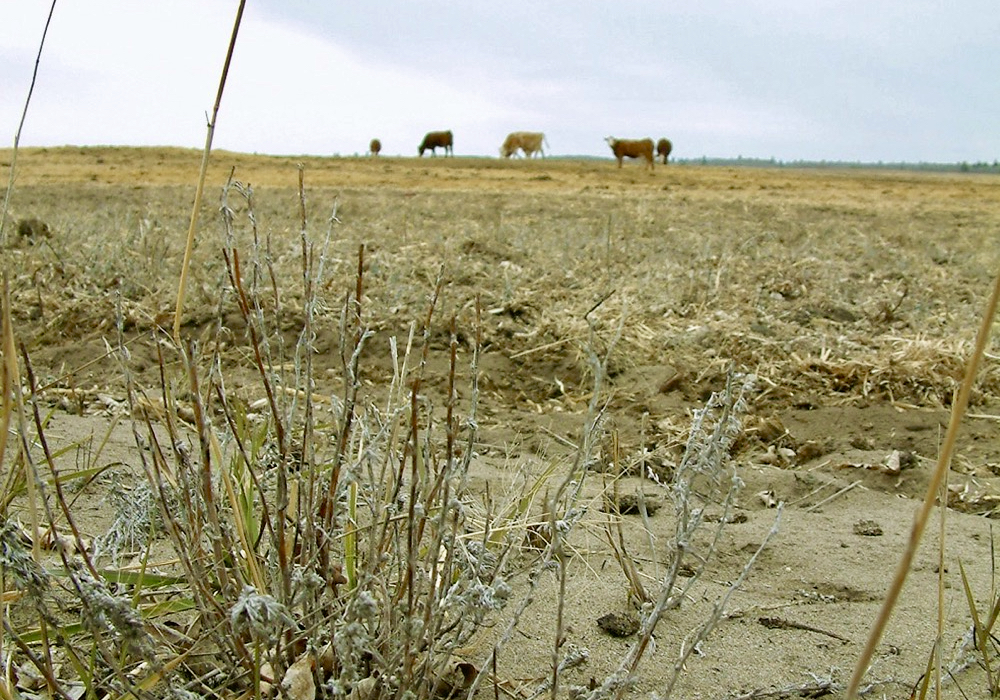 A lab funded by the Canada Agricultural Partnership can generate a comprehensive soil health report for each site sampled.