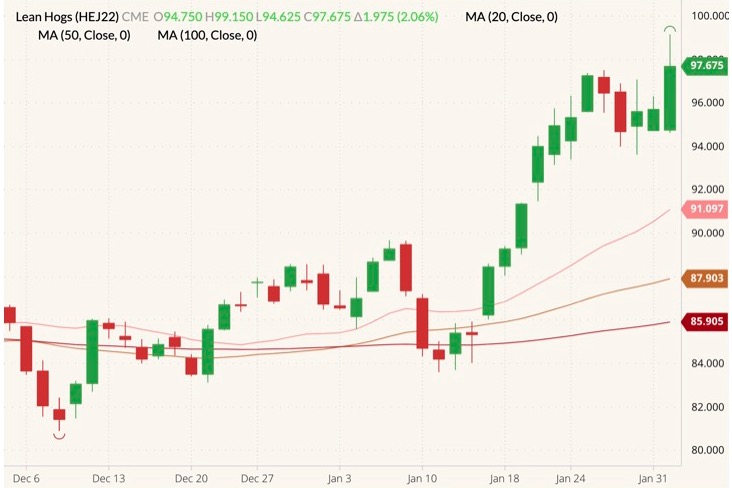 CME April 2022 lean hogs (candlesticks) with 20-, 50- and 100-day moving averages (pink, brown and dark red lines). (Barchart)
