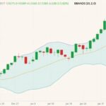 CBOT March 2022 soybeans (candlesticks) with Bollinger bands (20,2). (Barchart)