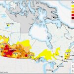 AAFC’s Drought Monitor map effective Jan. 31, 2022. (Agriculture and Agri-Food Canada)