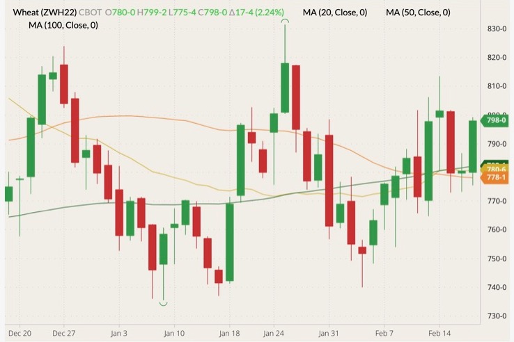 CBOT March 2022 wheat (candlesticks) with 20-m 50- and 100-day moving averages (yellow, orange and dark green lines). (Barchart)
