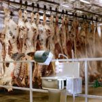 Daily slaughter capacity at the U.S.’s 30 largest beef processors slightly increased in 2021 from the previous year.