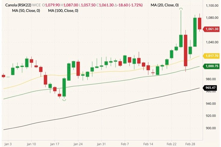 ICE May 2022 canola (candlesticks) with 20-, 50- and 100-day moving averages (yellow, green and black lines). (Barchart)
