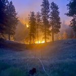 A backburn set between the Thomas ranch and the wildfire on the first night of the fire.
