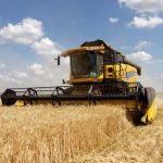 File photo of a combine harvesting a wheat crop in Ukraine. (SergBob/iStock/Getty Images)