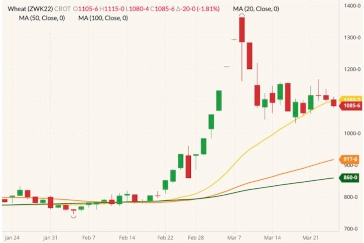 CBOT May 2022 wheat (candlesticks) with 20-, 50- and 100-day moving averages (yellow, orange and dark green lines). (Barchart)

