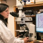 File photo of a U.S. veterinary medical officer examining tissue samples for avian influenza virus. (Suzanne Deblois photo courtesy ARS/USDA)