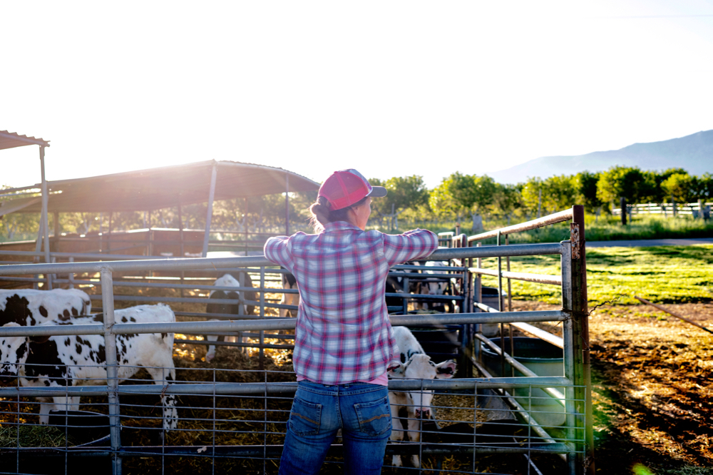 Are the actions you’re taking guiding you towards a long-range shared vision?