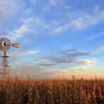 File photo of a cornfield in Argentina. (Reisegraf/iStock/Getty Images)