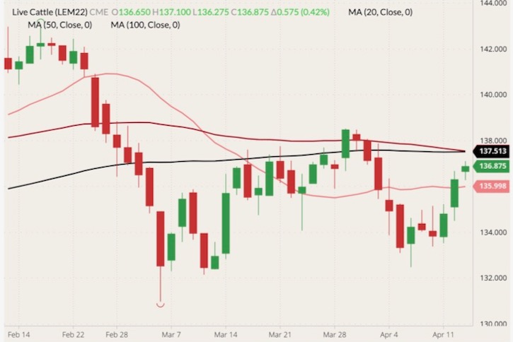 CME June 2022 live cattle (candlesticks) with 20-, 50- and 100-day moving averages (pink, dark red and black lines). (Barchart)
