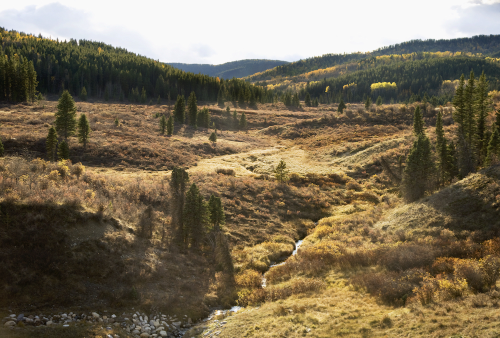 A creek cuts through rangeland in southwestern Alberta. Recent research from the University of Alberta finds that adaptive multi-paddock (AMP) grazing can speed the carbon cycle.