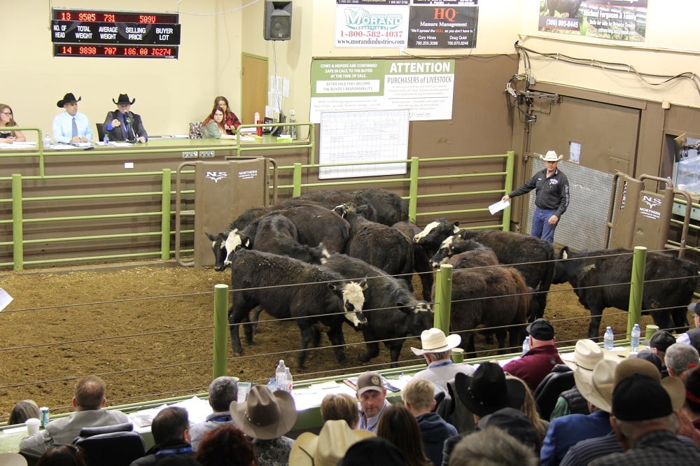 Demand for beef is key in 2023 - Canadian Cattlemen