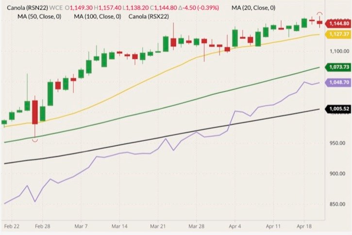 ICE July 2022 canola (candlesticks) with 20-, 50- and 100-day moving averages (yellow, dark green and black lines) and November 2022 canola (purple line). (Barchart)
