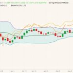 CBOT July 2022 wheat (candlesticks) with Bollinger bands (20,2), MGEX July 2022 spring wheat (yellow line) and K.C. July 2022 hard red wheat (orange line). (Barchart)