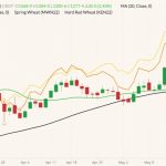 CBOT July 2022 wheat (candlesticks) with 20- and 50-day moving averages (green and black lines), MGEX July 2022 spring wheat (yellow line) and K.C. July 2022 hard red wheat (orange line). (Barchart)