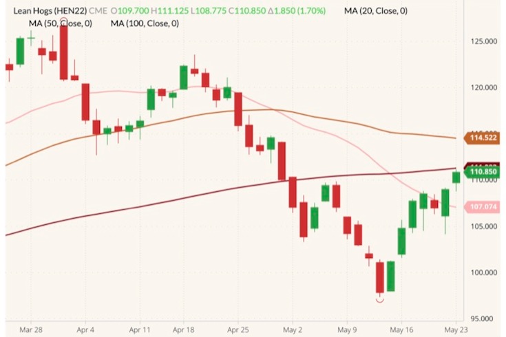 CME July 2022 lean hogs (candlesticks) with 20-, 50- and 100-day moving averages (pink, brown and dark red lines). (Barchart)
