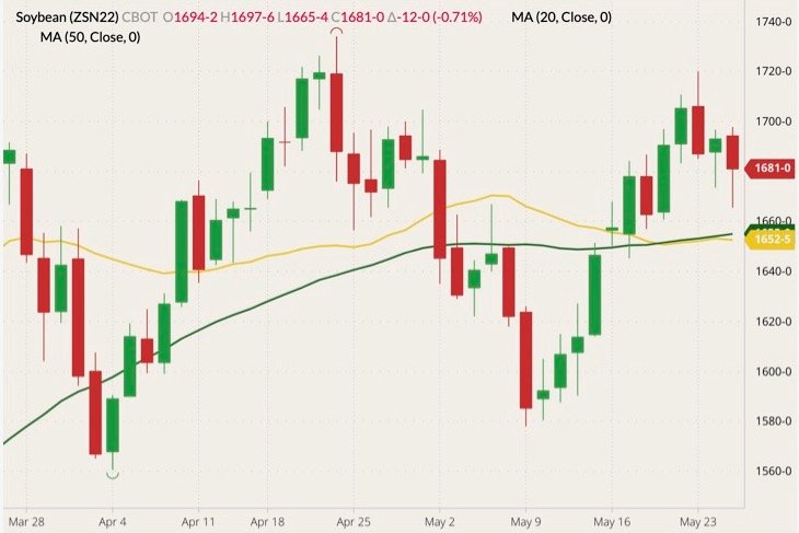 CBOT July 2022 soybeans (candlesticks) with 20- and 50-day moving averages (yellow and green lines). (Barchart)

