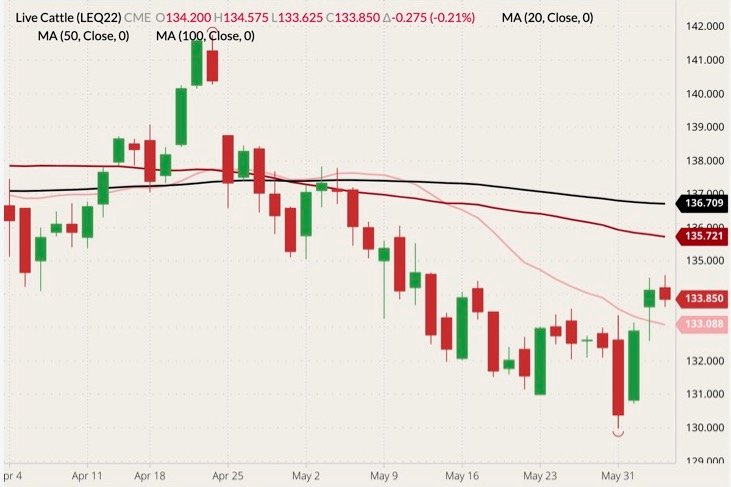 CME August 2022 live cattle (candlesticks) with 20-, 50- and 100-day moving averages (pink, dark red and black lines). (Barchart)
