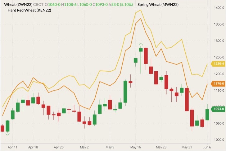 CBOT July 2022 wheat (candlesticks) with MGEX July 2022 spring wheat (yellow line) and K.C. July 2022 hard red wheat (orange line). (Barchart)
