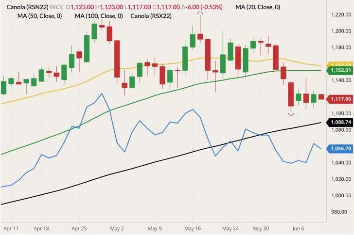 ICE July 2022 canola (candlesticks) with 20-, 50- and 100-day moving averages (yellow, green and black lines) and November 2022 canola (blue line). (Barchart)
