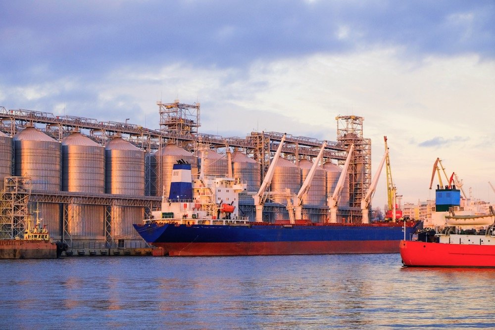 File photo of a bulk port facility in Ukraine. (Olivia Sabeskaya/iStock/Getty Images)
