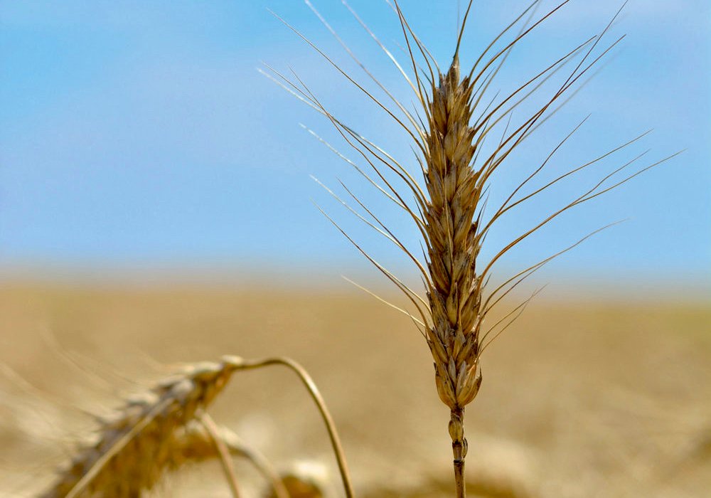 Photo: Thinkstock.
