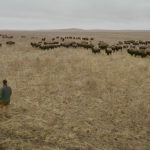 The beef industry is hoping that it can take a page from the bison industry by adding sustainable leather into its production practices.