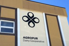 File photo of the Agropur logo on its former fluid milk plant in Winnipeg. (Dave Bedard photo)