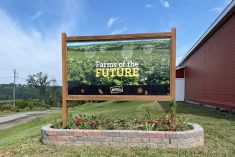 Signage outside McCain&#8217;s Farms of The Future site at Florenceville-Bristol, about 110 km northwest of Fredericton. (Photos courtesy McCain)
