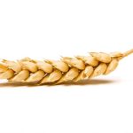 Photo: iStock