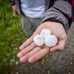 Severe weather in the form of heavy rains and large hail hit some areas in rural Manitoba. Photo: iStock/Getty Images Plus
