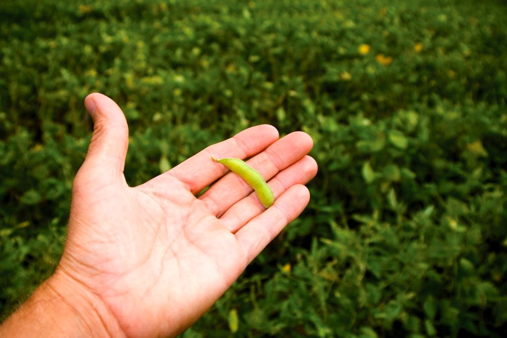 Photo: Thinkstock
